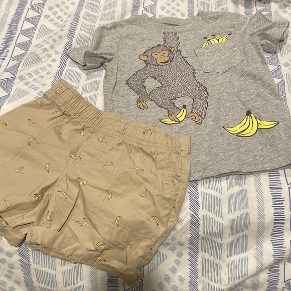 Quit monkeying around! - Picture 1 of 5